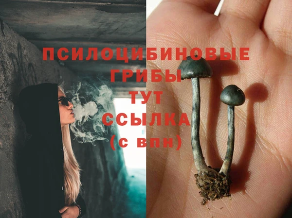 MDMA Алексеевка